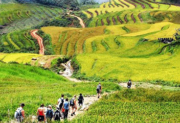 Teambuilding Cắm Trại Cát Bà – hoạt động độc đáo cho công ty